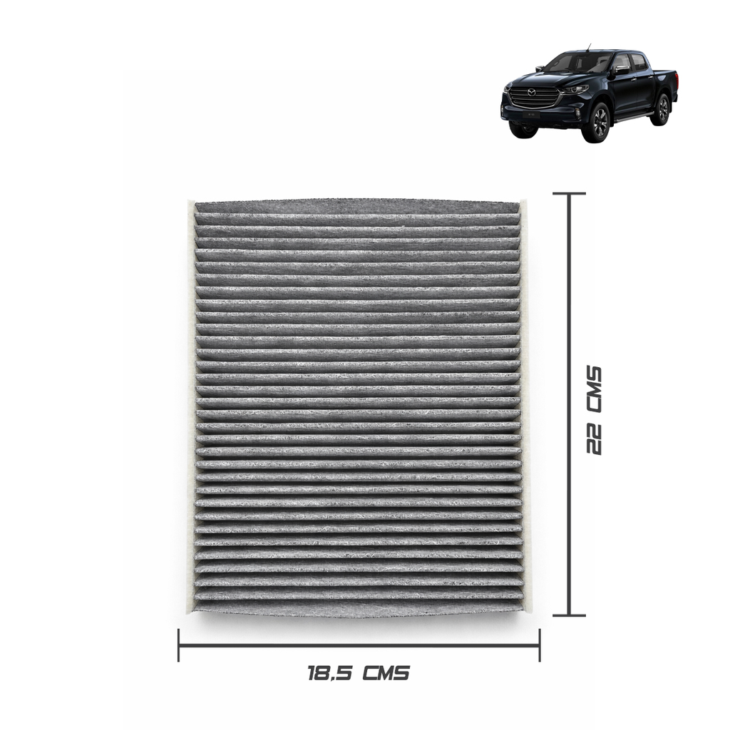 21140732 FILTRO POLEN CABINA 4.webp