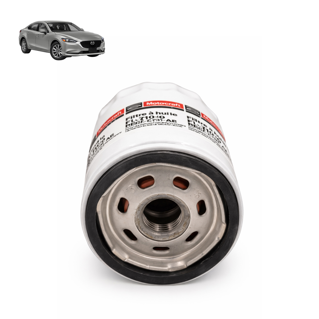 66663597124547 FILTRO ACEITE METALICO 2.webp