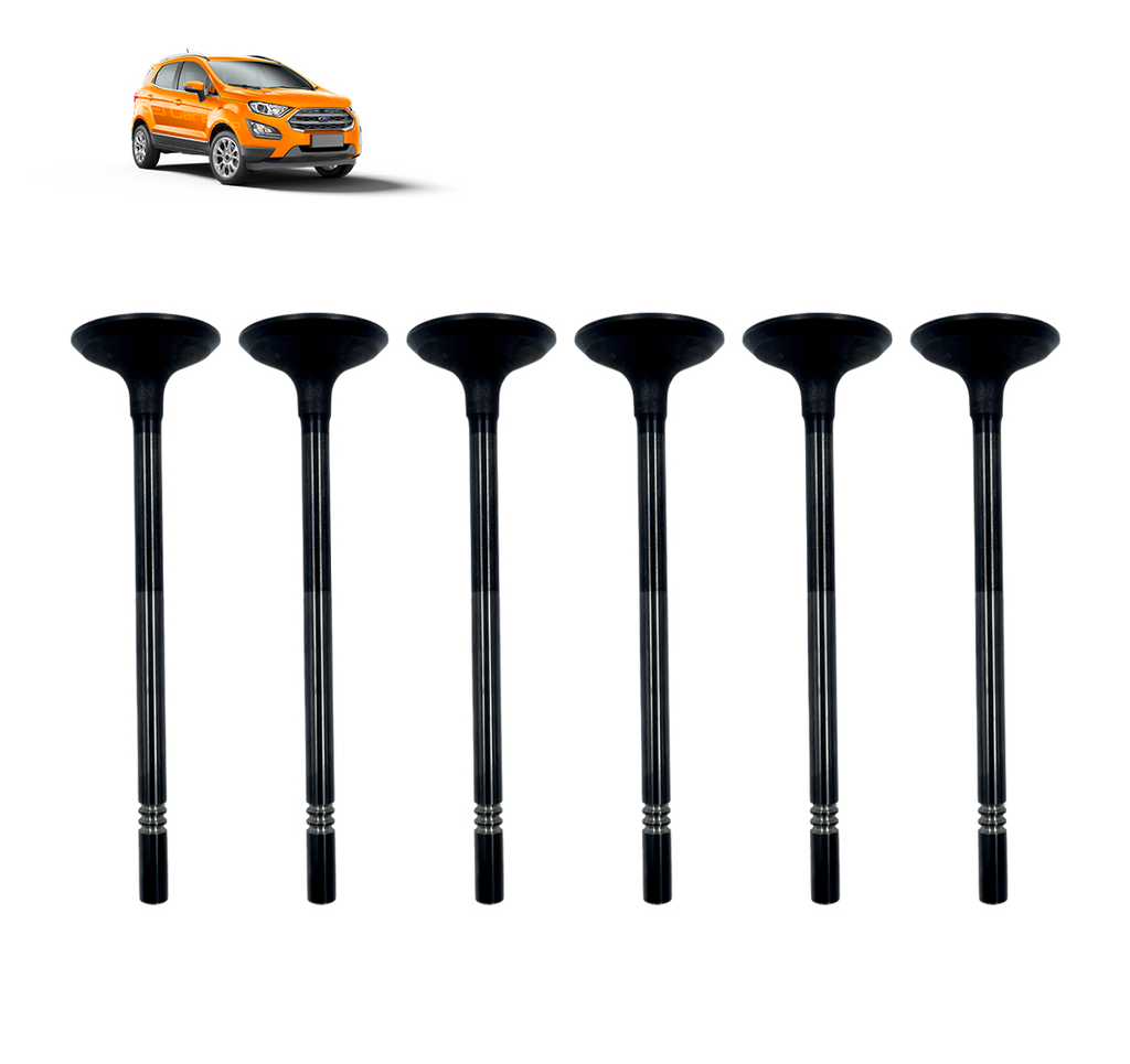 VALVULA ESCAPE (SET X6) 1.5 DRAGON ECOSPORT 18-23