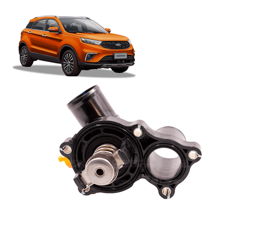 [69954321772138] TERMOSTATO COMPLETO